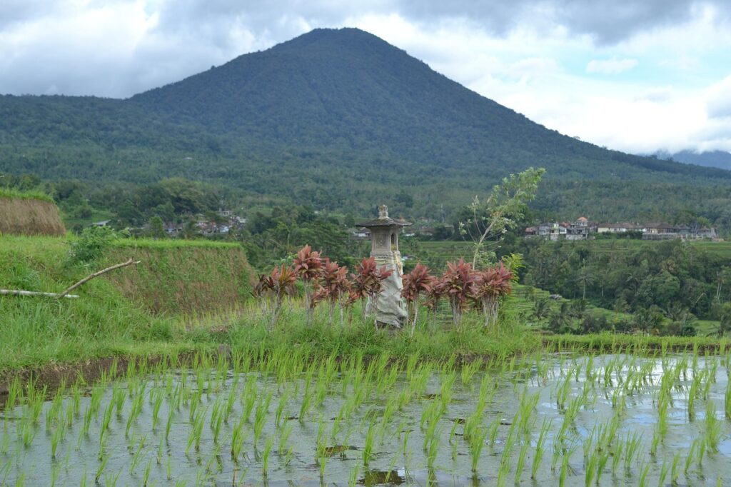 Balinese temple among green rice fields on a first trip to Bali