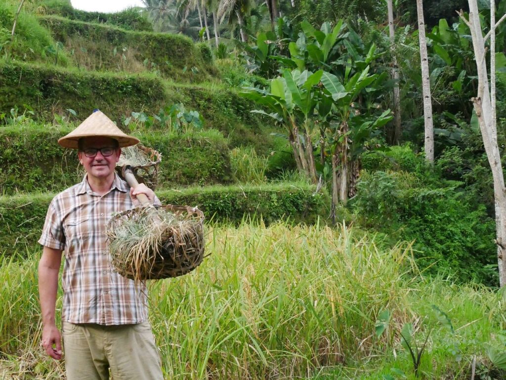 Green terraced rice fields in Bali for a 5-day Bali itinerary